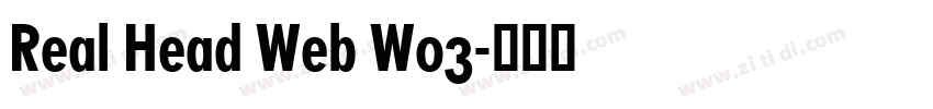 Real Head Web W03字体转换